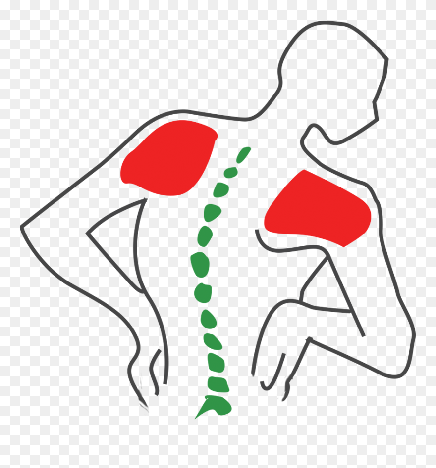 Clip Art - Png Download