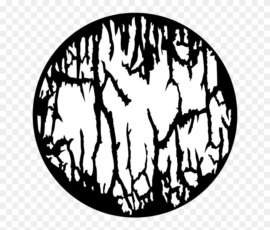 Transparent Black And White Swamp Clipart - Illustration - Png Download