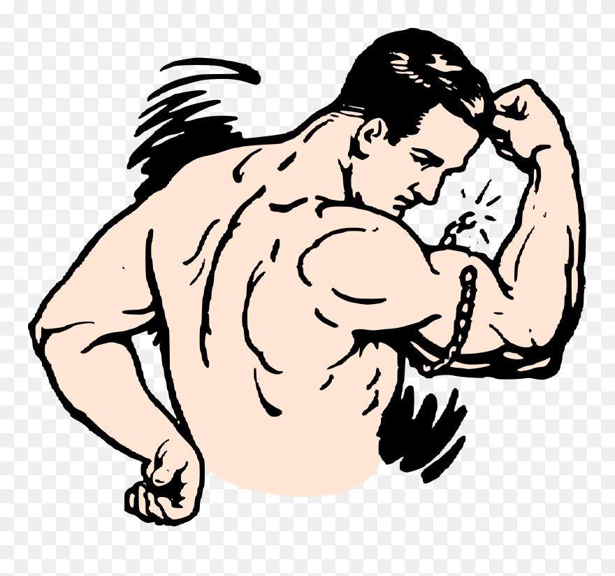 Muscles Icons Png Free Clipart