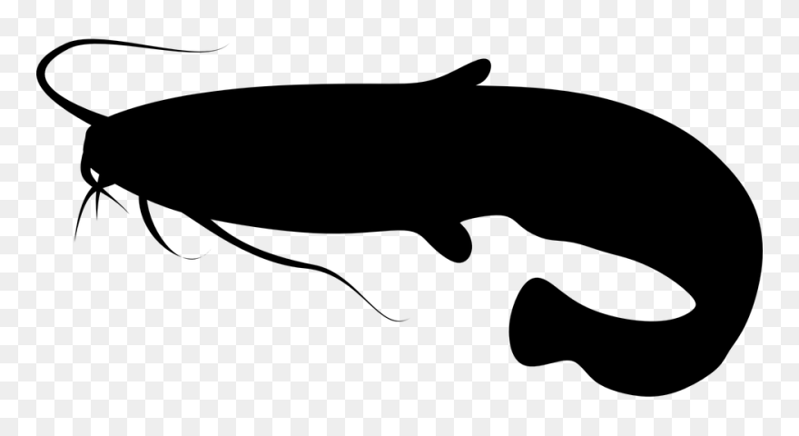 Catfish Silhouette Clipart