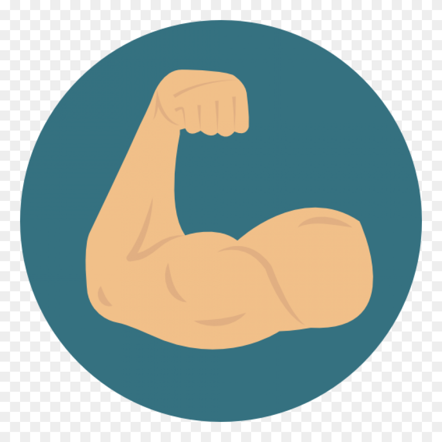 Muscle Png Image - Muscle Free Png Clipart