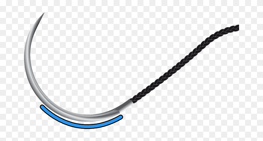 Clip Art - Png Download