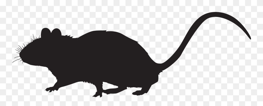 Rat Mouse Whiskers Rodent Clip Art - Silhouette Rat Clip Art - Png Download