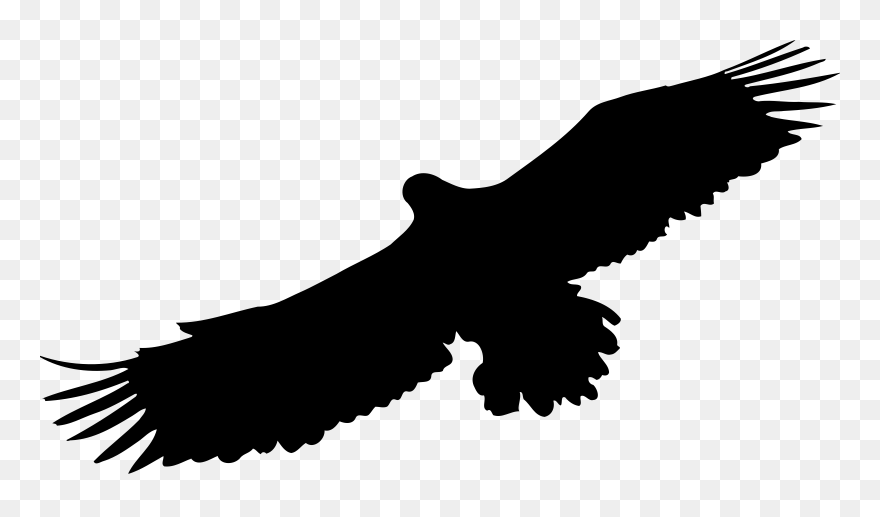 Eagle 8 Silhouette Icons Png - Eagle Icon Png Clipart