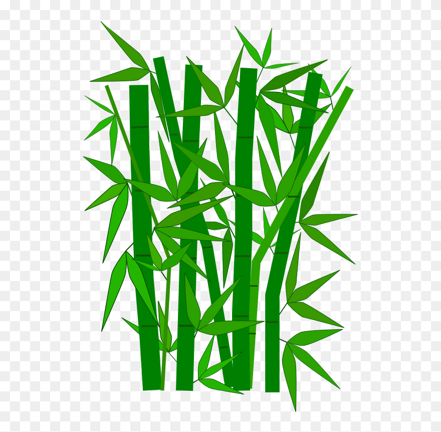Bamboo Clipart - Bamboo Leaves Clipart - Png Download