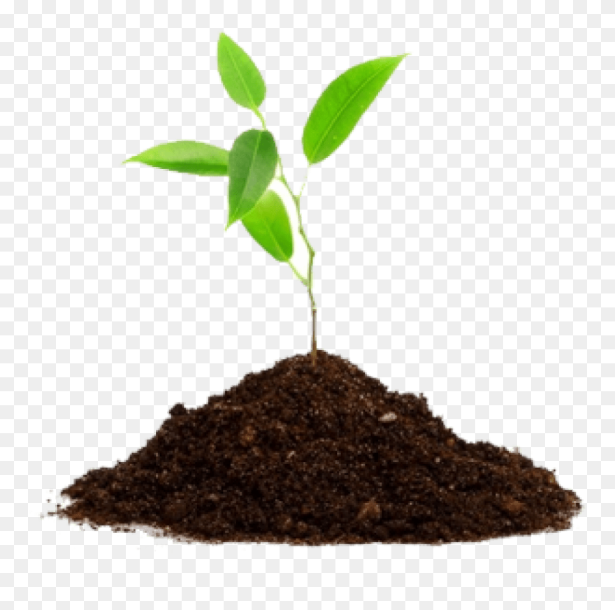 Agriculture Png Transparent Images - Plant In Soil Png Clipart
