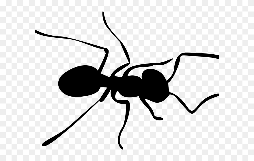Transparent Background Ant Clipart - Png Download