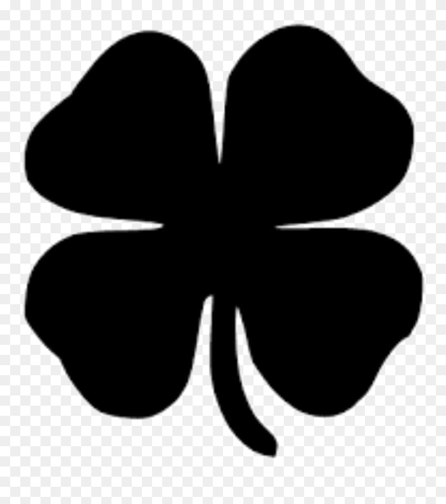 Transparent White Four Leaf Clover Png - 4 Leaf Clover Vector Clipart