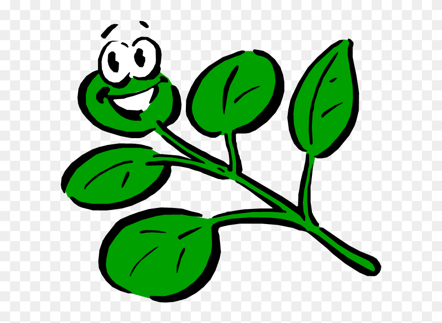 Parts Of The Plants - Cartoon Plant With Face Clipart