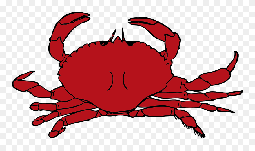 Life,cooked,free Vector Graphics,free Pictures, Free - Crab Png Clipart Transparent Png