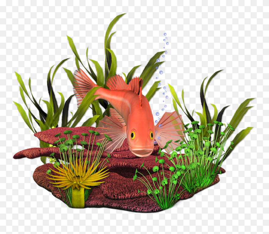 Transparent Ocean Plants Clipart - Newest Cute Critter Clipart With Transparent Backgrounds - Png Download