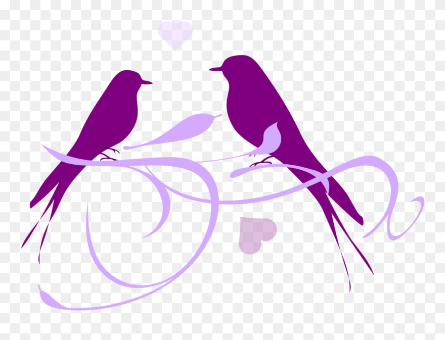 Lovebird Owl Clip Art - Mlp Song Cutie Mark - Png Download