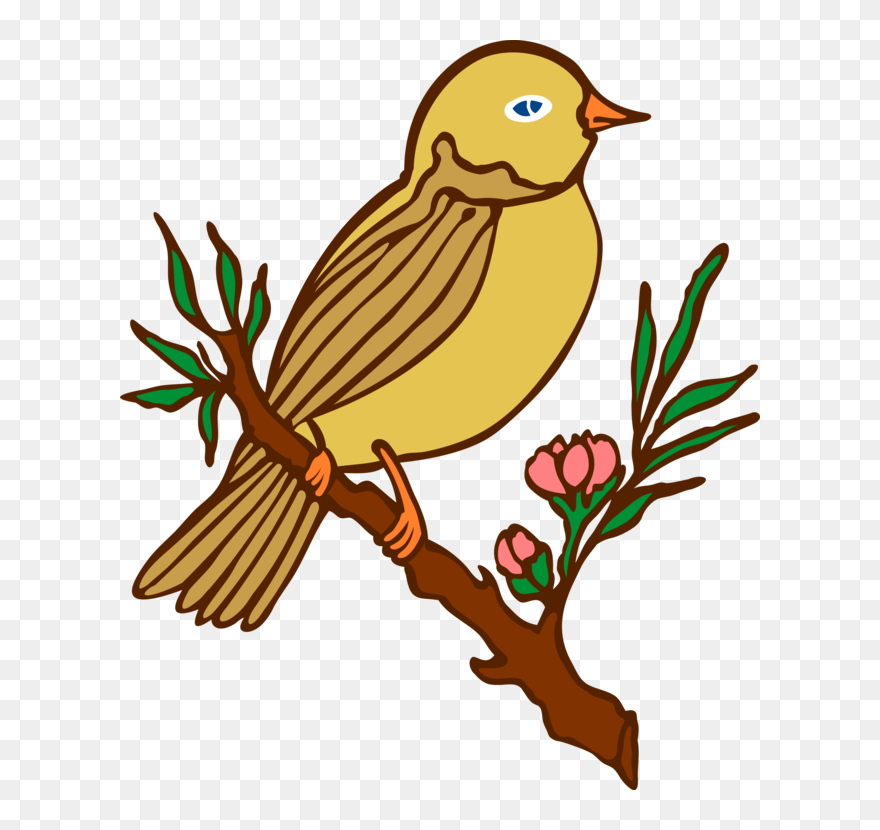 Flower,food,artwork - Bird Drawing With Colour Clipart