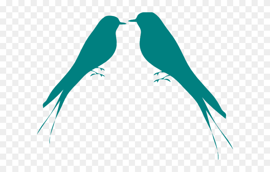 2 Love Birds Clipart - Png Download