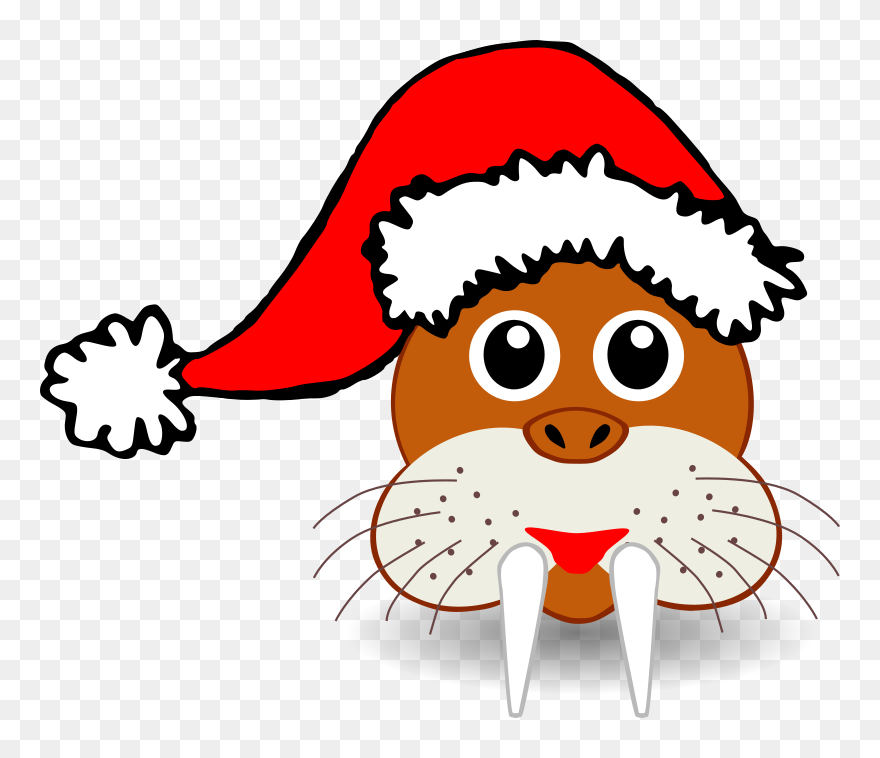 Funny Walrus Face With Santa Claus Hat Png Images - Christmas Animal Clipart Transparent Png