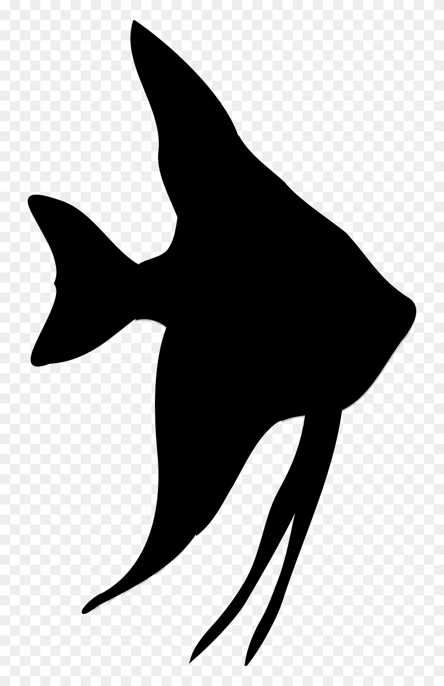 Tropical Fish Silhouette Png - Angelfish Silhouette Clipart