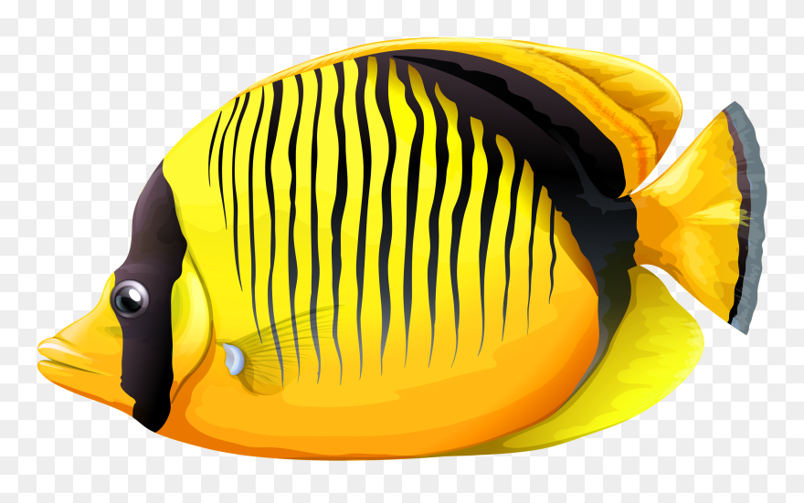 Gold Fish Clipart Realistic Fish - Transparent Background Tropical Fish Clipart - Png Download