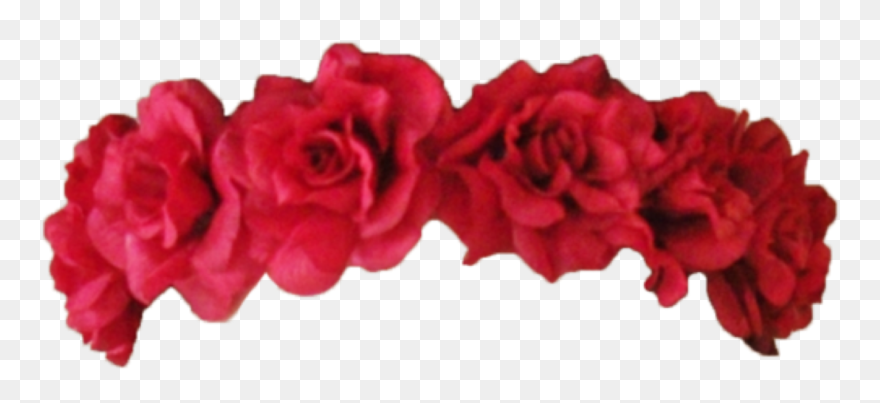 Flowers Flower Png Pngtumblr Sticker Tumblr Interesting - Red Flower Crown Png Clipart