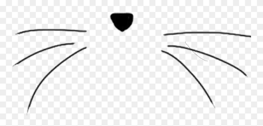 #interesting #art #cat #png #pngs #pngtumblr #stickersedit - Cat Nose With Whiskers Clipart