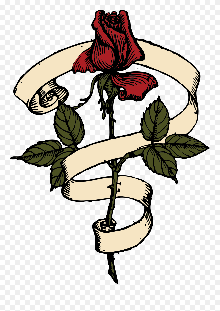 Rose With Scroll Vector Drawing - Rose With Ribbon Around Clipart