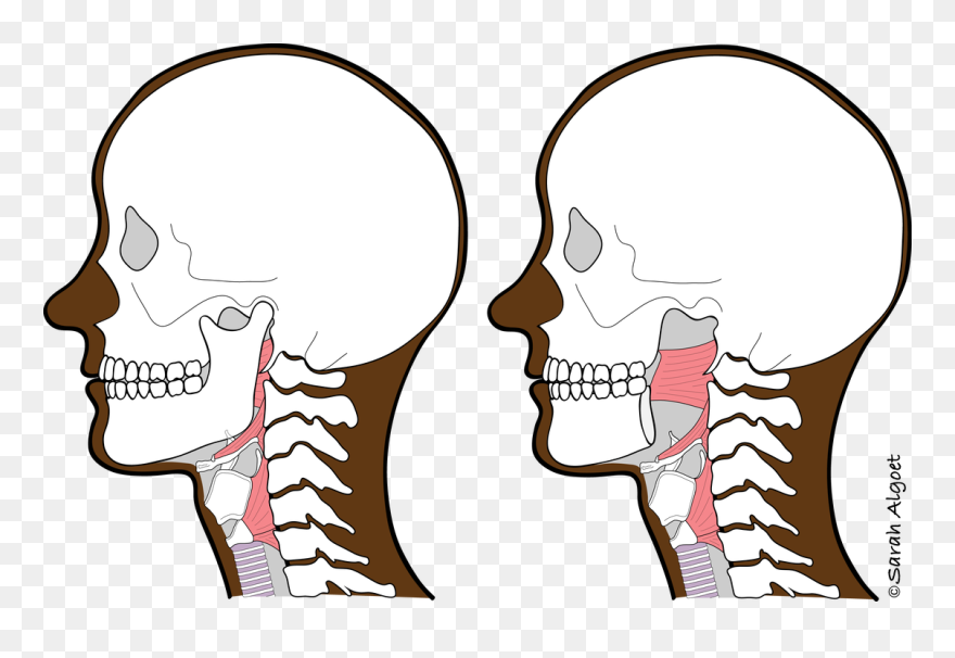 Picture - Illustration Clipart