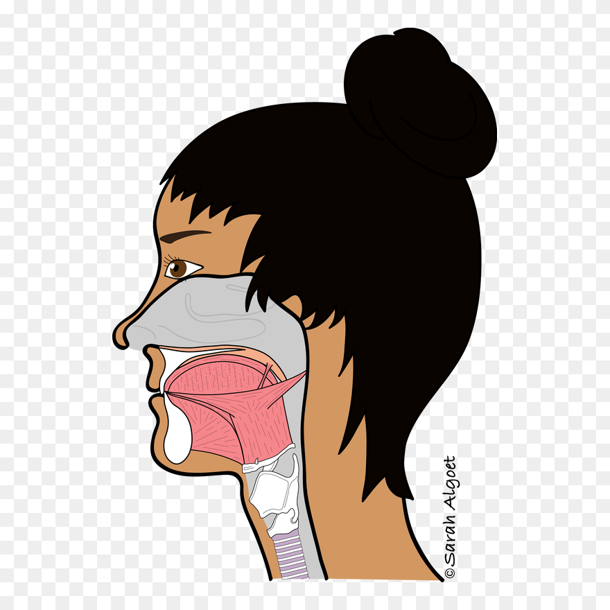 Picture - Cartoon Clipart