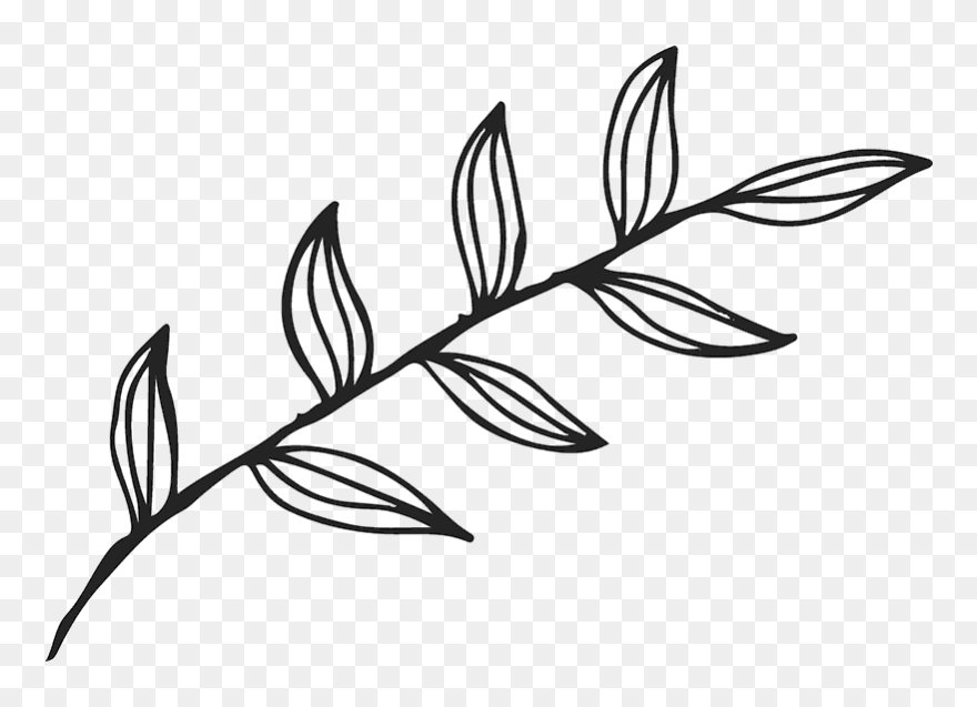 Leave Outline - Leaf Outline Transparent Clipart