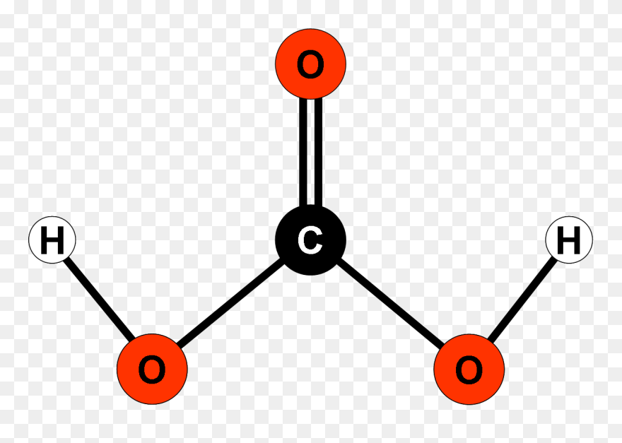 Carbonic Acid Clipart Svg Free Download File - Carbonic Acid Atomic Structure - Png Download