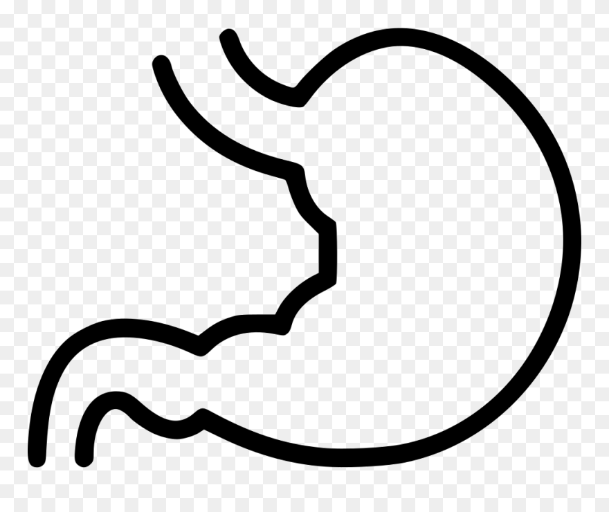Png File - Stomach Clipart Black And White Transparent Png
