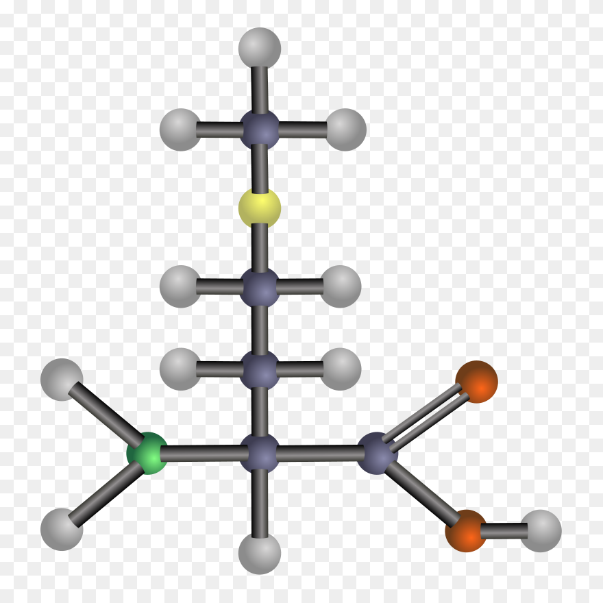 Amino - Clipart - Amino Acids Clipart - Png Download