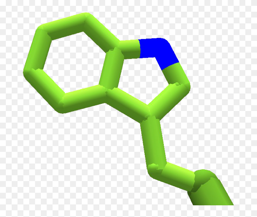 Amino Acid Png Image File Clipart