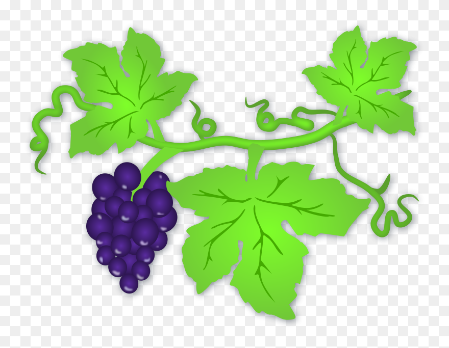 Free Printable Grape Leaves - Clip Art Grapes Leaf - Png Download