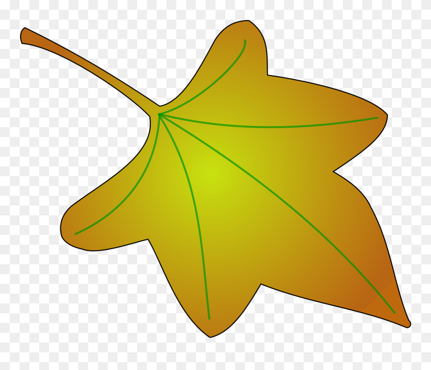 Fruit, Wine, Grapes, Leaf, Cartoon, Template, Grape - Clip Art Grapes Leaves - Png Download