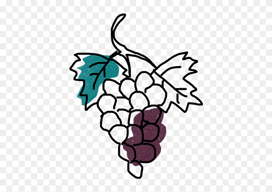 Grape Clipart