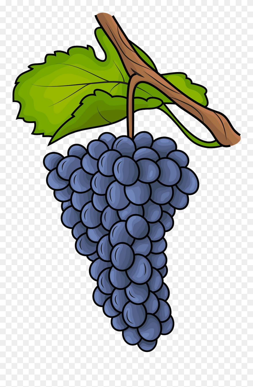 Grapes Clipart - Png Download
