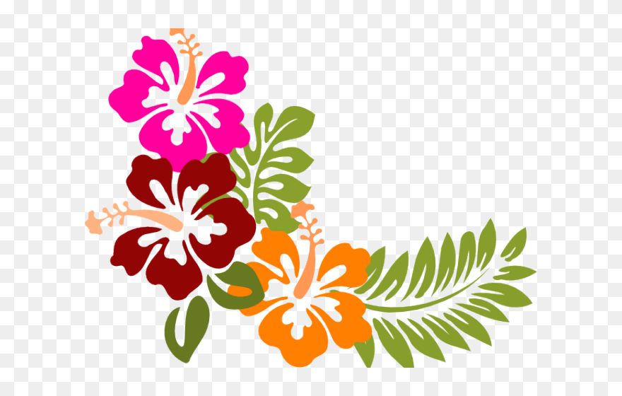 Hibiscus Image Clipart - Png Download