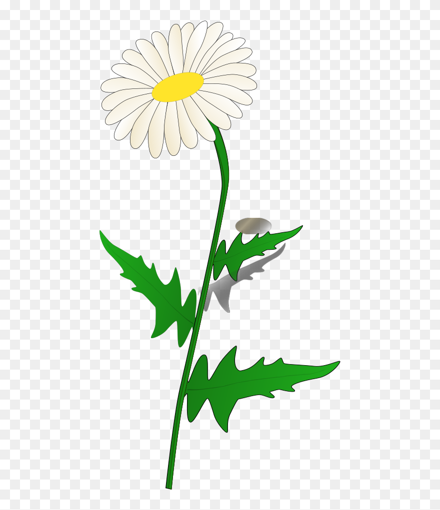 Daisy Modification Svg Clip Arts - Daisy Clip Art - Png Download