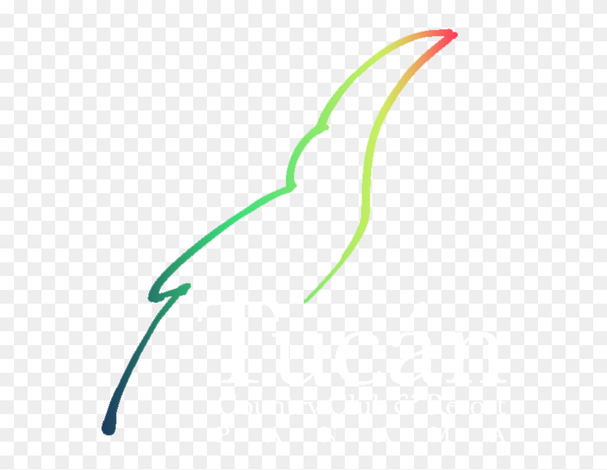 Transparent Tucan Clipart - Line Art - Png Download