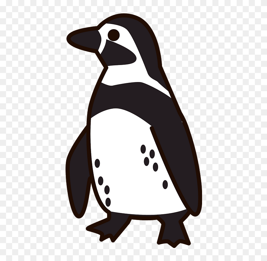 Humboldt Penguin Clipart - ペンギン イラスト 無料 - Png Download