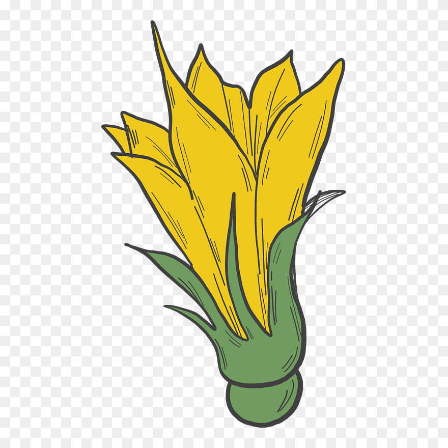 Pumpkin Flower Clipart - Png Download