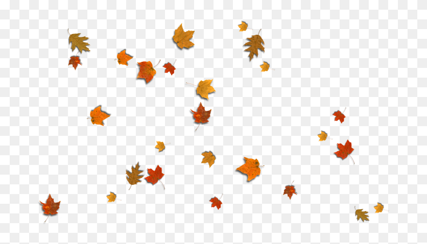 Fall Leaves Corner Border Png Download - Portable Network Graphics Clipart