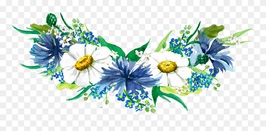 African Daisy Clipart