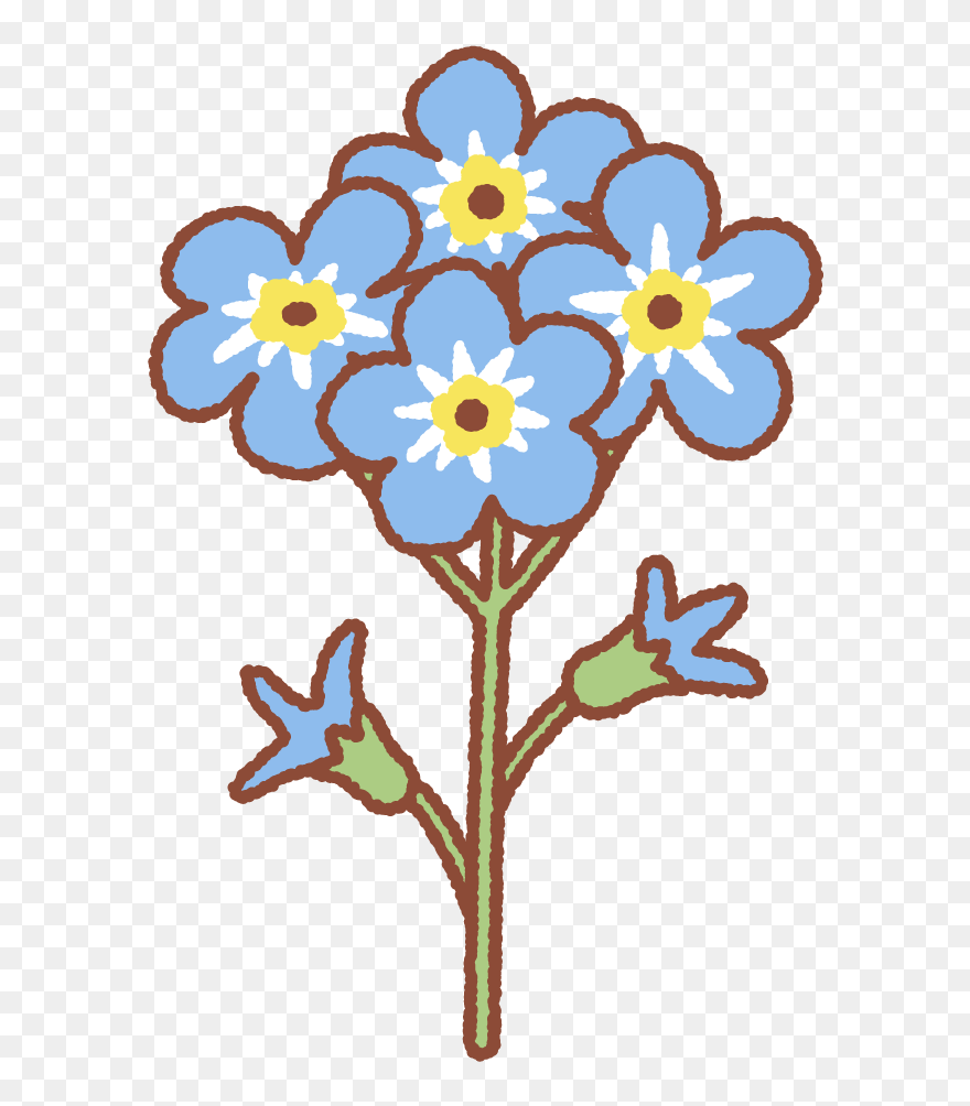 ワスレナグサのフリーイラスト Clip Art Of Forget Me Not - Png Download