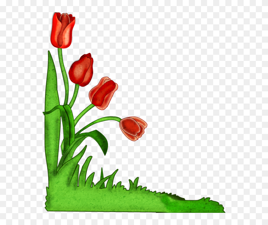 Oranges Clipart Tulips - Sprenger's Tulip - Png Download