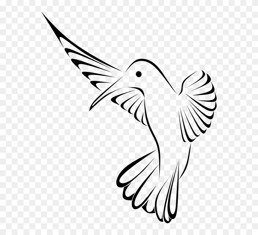 Colibri Cilueta Clipart