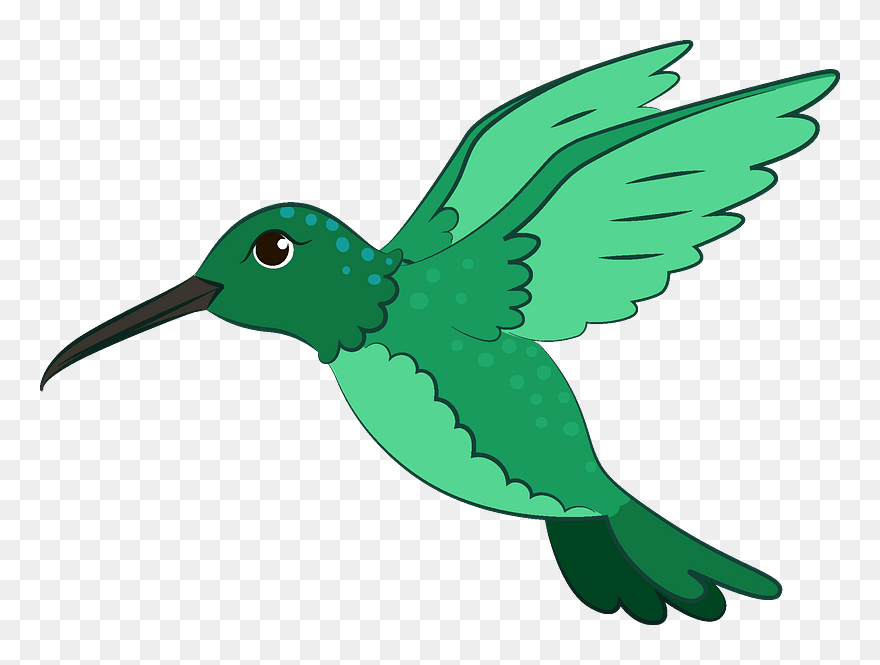 Hummingbird Clipart - Png Download