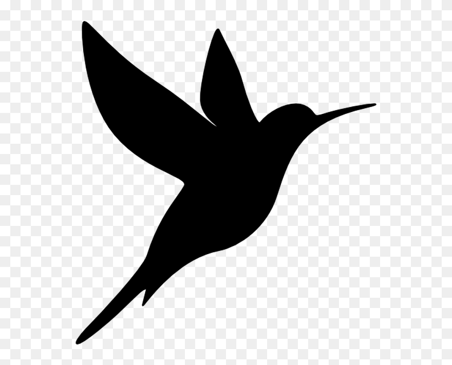 Hummingbirds Clipart