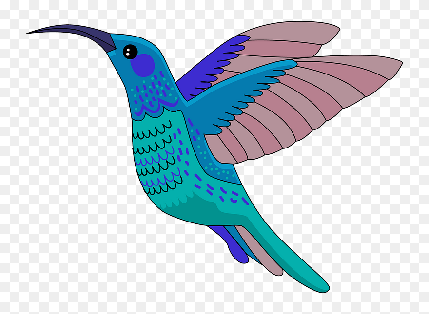 Hummingbird Clipart - Hummingbird - Png Download