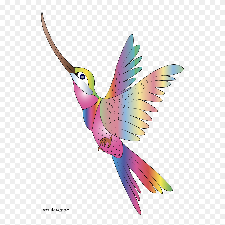Hummingbird Clipart Parrot - Imagen De Colibri Animado - Png Download