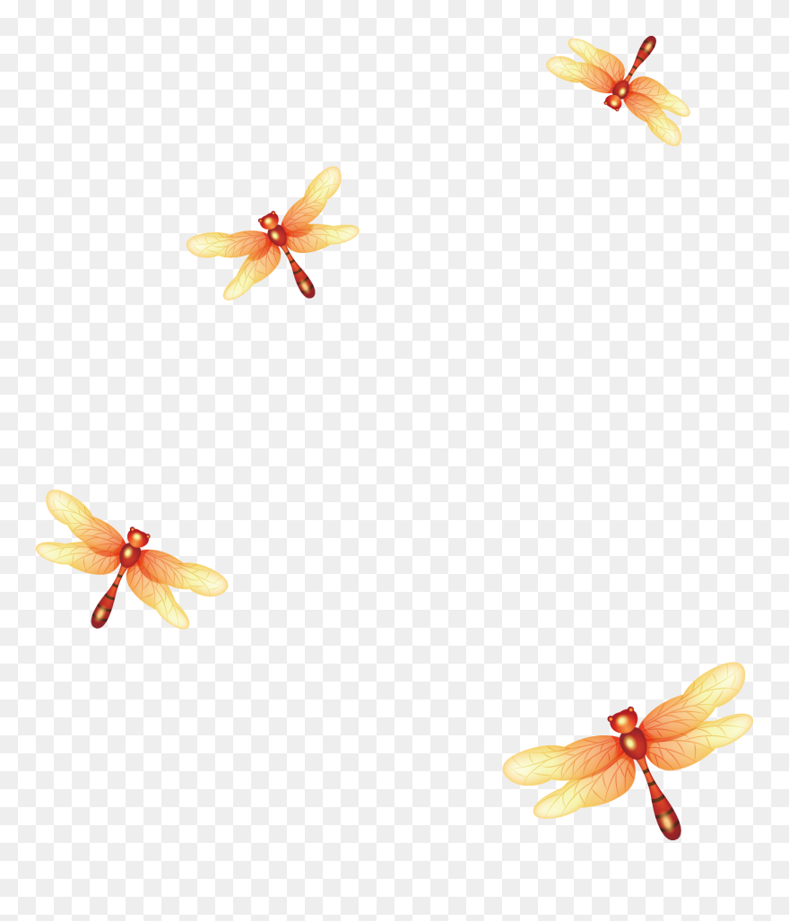 Orange Clipart Dragonfly - Transparent Cute Flower Cartoon - Png Download
